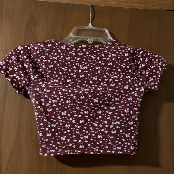 Womens Cute Sky and Sparrow Brown & White XS Crop Top - Picture 3 of 5